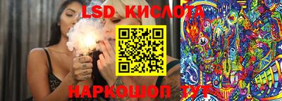 PSILOCYBIN Кунгур