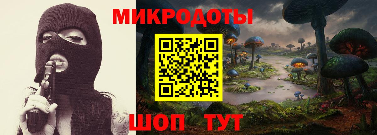 Троицк  Псилоцибиновые грибы прущие грибы  Вход с VPN 