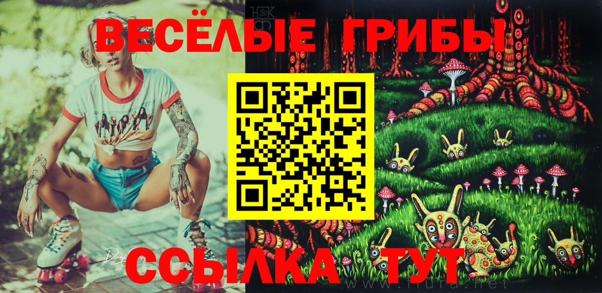 Галлюциногенные грибы прущие грибы Троицк