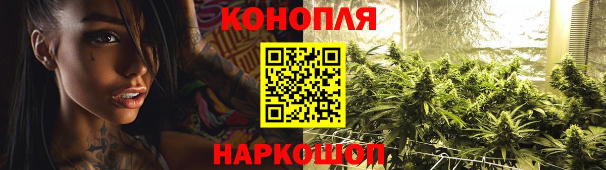 Марихуана сатива Троицк